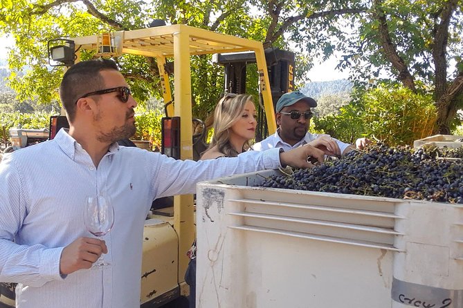 Guided Healdsburg Wine Country Bike and Wine Tasting Tour with lunch - The 11:00 a.m. winery stop