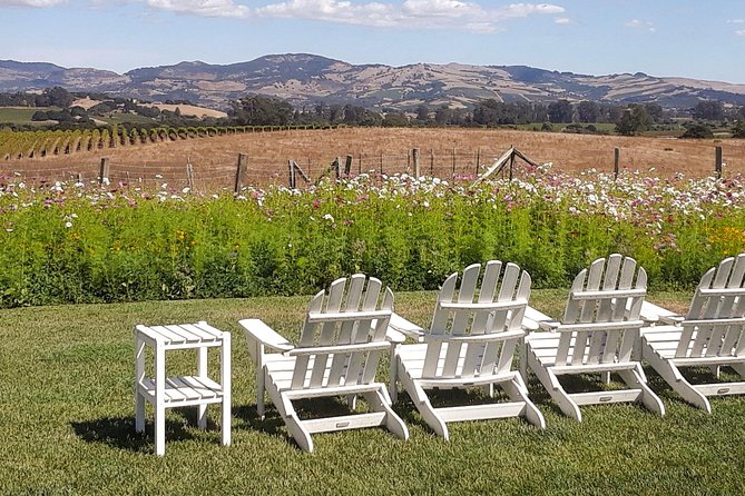 Guided Healdsburg Wine Country Bike and Wine Tasting Tour with lunch - The 2:00 p.m. winery visit