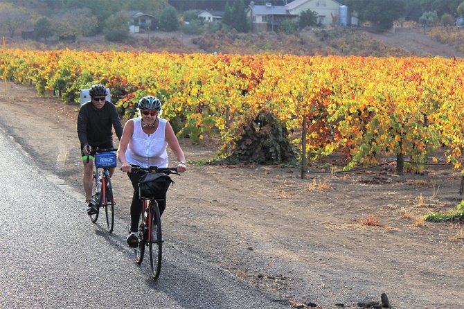 Guided Healdsburg Wine Country Bike and Wine Tasting Tour with lunch - Who should choose the regular bike or e-bike