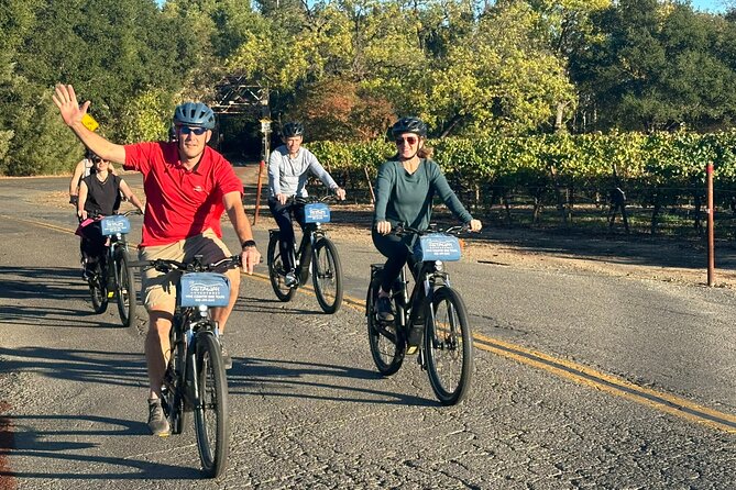 Guided Healdsburg Wine Country Bike and Wine Tasting Tour with lunch - Pedaling West Dry Creek Road