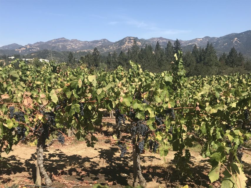 Guided Private Wine Tour to Napa and Sonoma Wine Country - The 1.5-Hour Van Ride Into Wine Country
