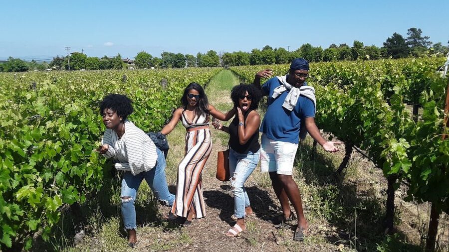Guided Private Wine Tour to Napa and Sonoma Wine Country - First and Second Winery Stops in Napa