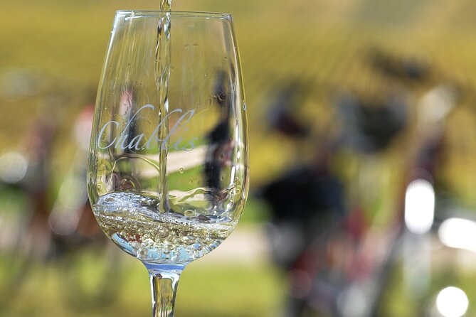 Guided tour of the Chablis Vineyards by e-bike - Key points at a glance