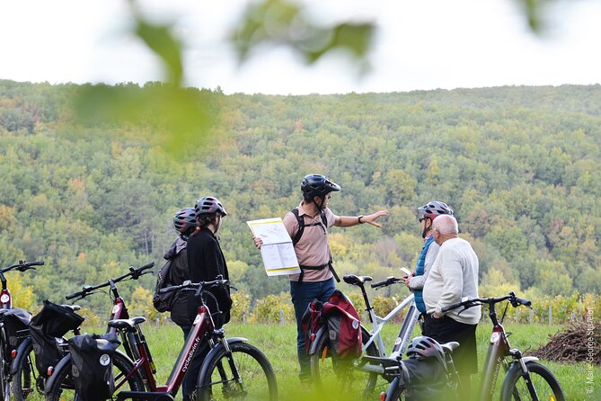 Guided tour of the Chablis Vineyards by e-bike - What you learn about Chablis wine