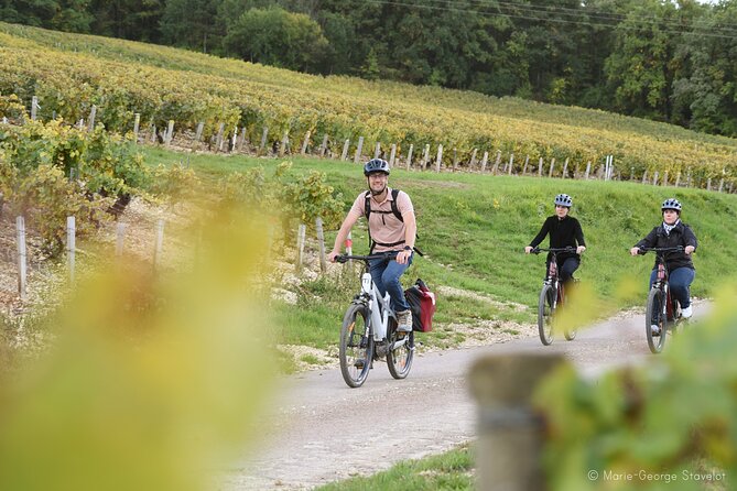 Guided tour of the Chablis Vineyards by e-bike - Is the $118.63 price fair?