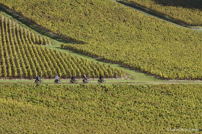 Guided tour of the Chablis Vineyards by e-bike - Timing, weather, and useful planning advice