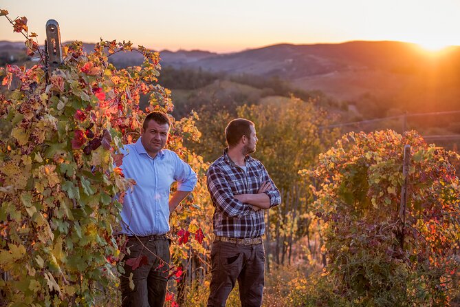 Guided tour of vineyards and winery with tasting 4 wines - Key things to know before you go