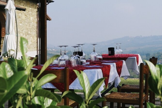 Guided tour of vineyards and winery with tasting 4 wines - The value of $22.86