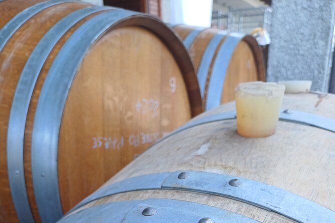 Guided tour of vineyards and winery with tasting 4 wines - How the guides shape the experience