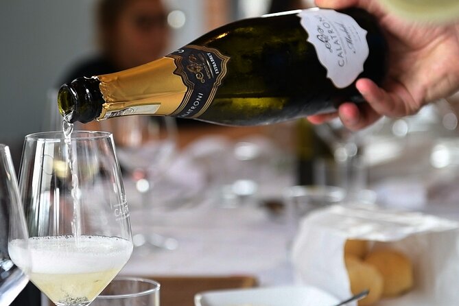 Guided tour of vineyards and winery with tasting 4 wines - Who should book this winery visit?