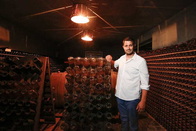 Guided tour of vineyards and winery with tasting 4 wines - The vineyard walk with Cristian