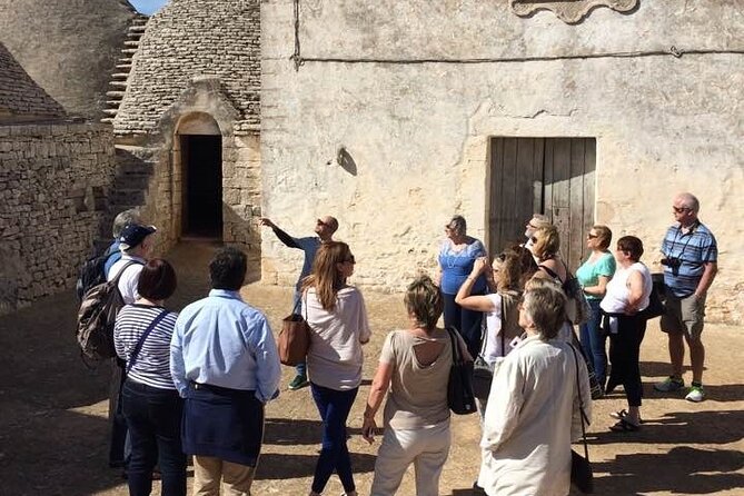 Guided tour through the vineyards with local wine tasting - A family winery in the Itria Valley