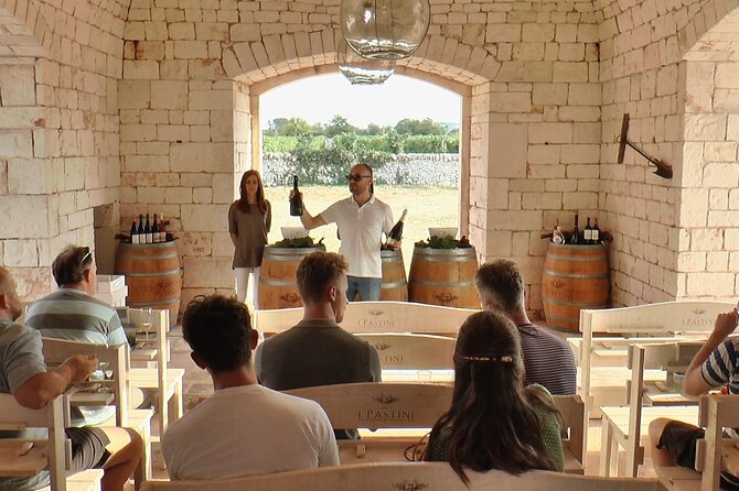 Guided tour through the vineyards with local wine tasting - The tasting: local wine with Puglian snacks