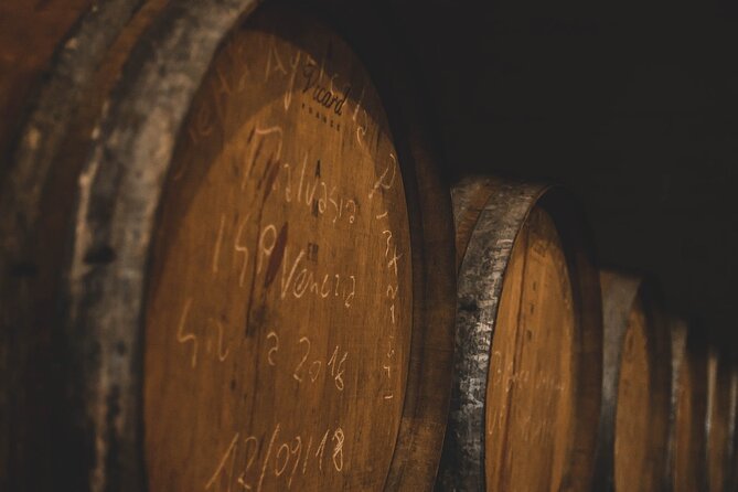 Guided tour through the vineyards with local wine tasting - Getting there and planning the visit