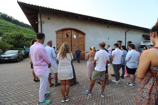 Guided Walk and Lunch in the Vineyard in Alba - Five wines and an aperitif before lunch