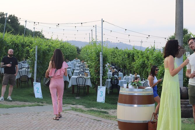 Guided Walk and Lunch in the Vineyard in Alba - Who will enjoy this Alba wine experience most