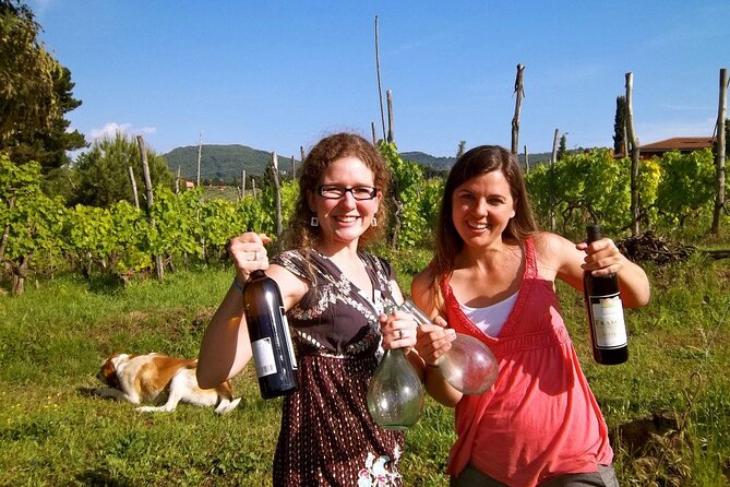 Guided Wine Tasting Experience in a Roman Vineyard - Leaving Rome for the Frascati hills