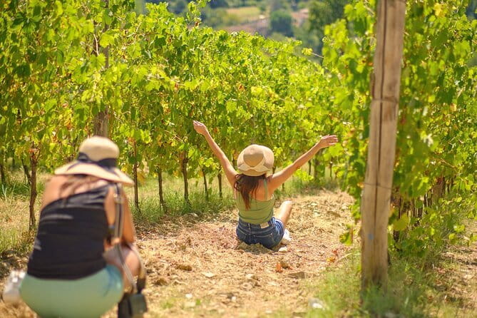 Half day Chianti Vineyard Escape from Florence with Wine Tastings - Quick takeaways from the Chianti escape