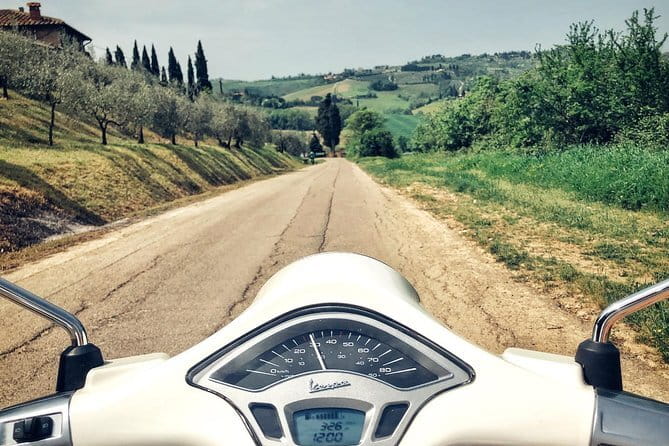 Half day Chianti Vineyard Escape from Florence with Wine Tastings - What the wine tasting is really like
