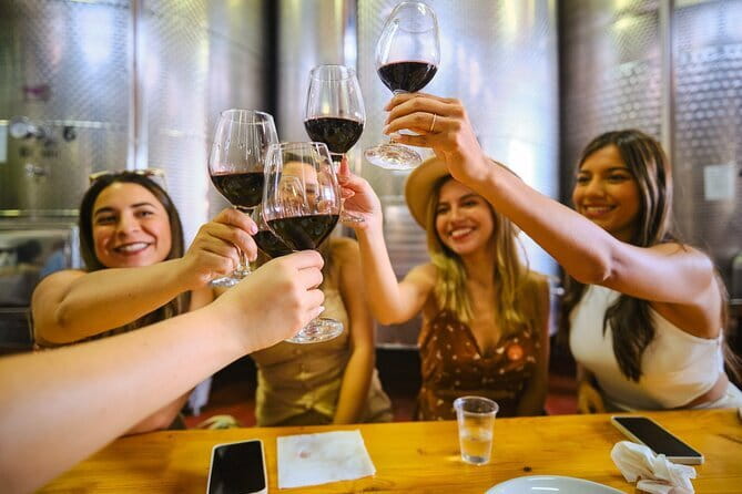 Half day Chianti Vineyard Escape from Florence with Wine Tastings - Who should book this Chianti outing?