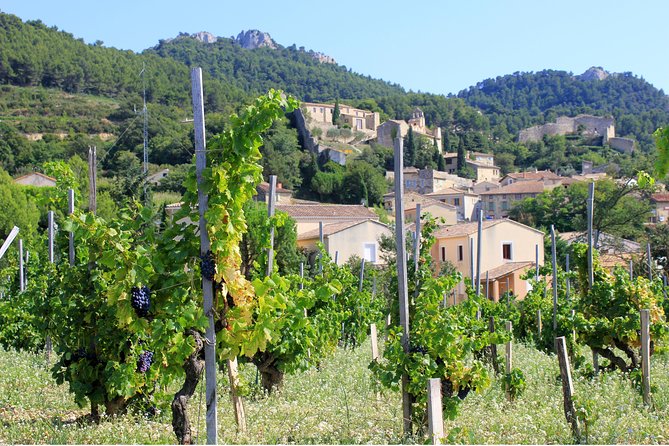 Half Day Great Vineyard Tour from Avignon - Gigondas and Séguret add a welcome change