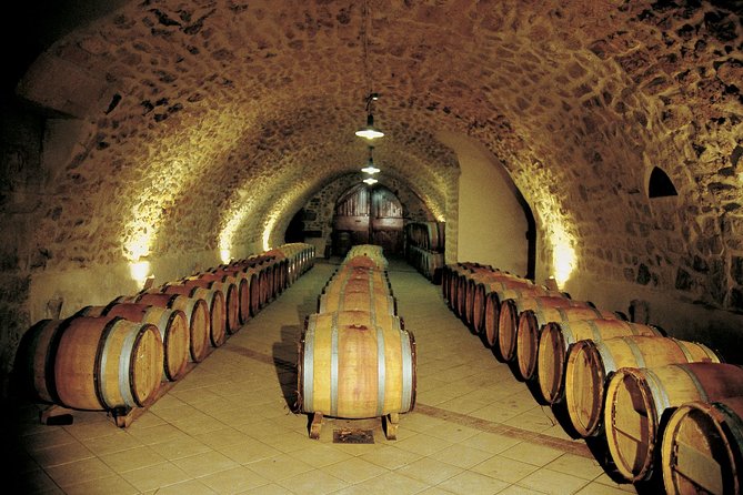 Half Day Great Vineyard Tour from Avignon - What the tastings are really like