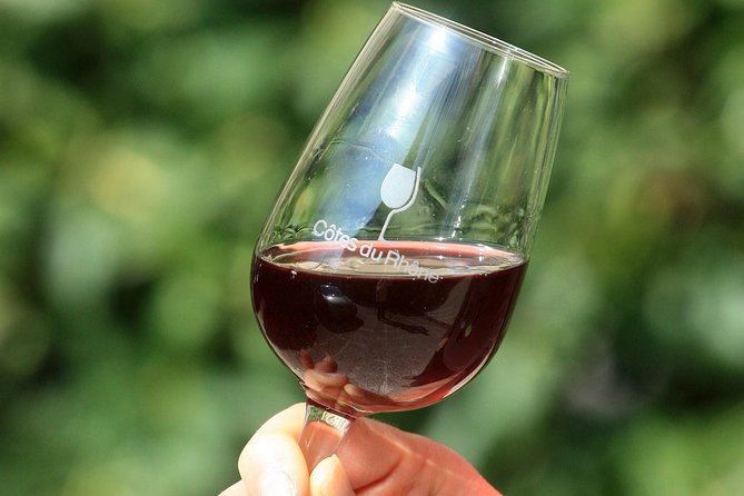 Half Day Great Vineyard Tour from Avignon - Is five hours enough?