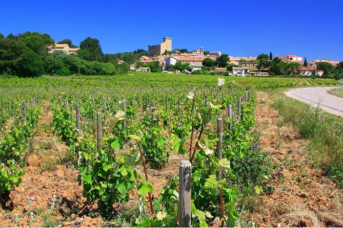 Half Day Great Vineyard Tour from Avignon - Price and value at $96.55