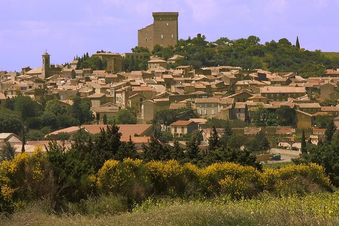 Half Day Great Vineyard Tour from Avignon - Who should book this outing?