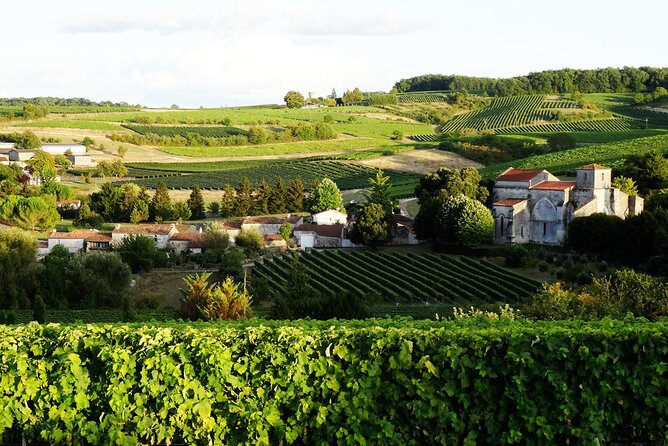 Half-day Guided E-Bike Ride to Discover The Cognac Vineyard - Why an E-Bike Makes Sense in Cognac Country