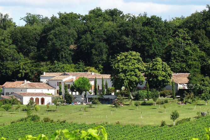 Half-day Guided E-Bike Ride to Discover The Cognac Vineyard - Segonzac: Vineyards, Architecture, and Local Work