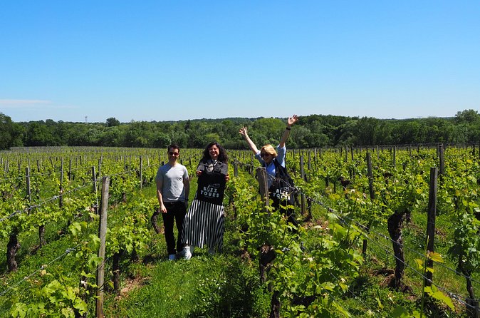 Half-Day Guided Wine Tasting Tour in Bordeaux Vineyards - Six practical questions to answer before you go