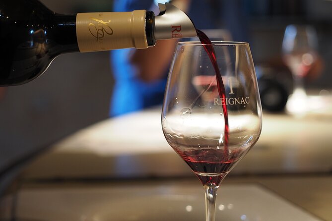 Half-Day Guided Wine Tasting Tour in Bordeaux Vineyards - The drive out to two Bordeaux châteaux