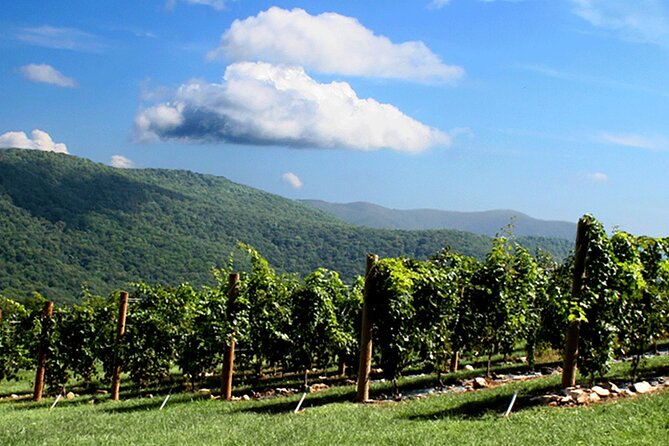 Half-Day North Georgia Wine Country Tour From Atlanta - Leaving Atlanta for North Georgia wine country