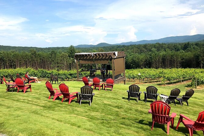Half-Day North Georgia Wine Country Tour From Atlanta - The driver can shape the whole afternoon