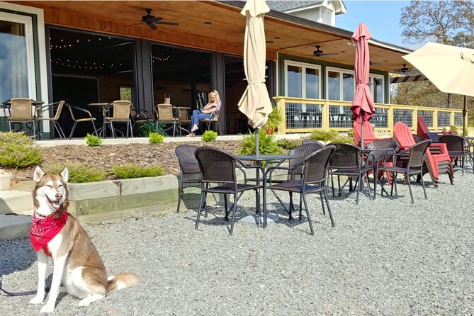 Half-Day North Georgia Wine Country Tour From Atlanta - Who will enjoy this trip most