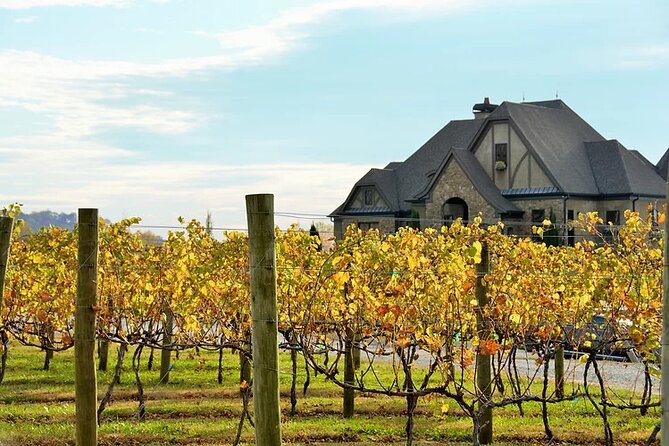 Half-Day North Georgia Wine Country Tour From Atlanta - Ott Farms and Vineyard and the mountain views