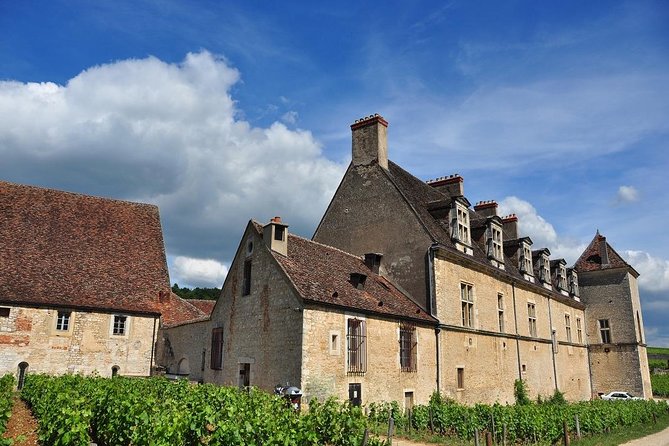 Half Day Tour of the Cote de Nuits Vineyards from Dijon - Why the Côte de Nuits makes a good half-day from Dijon