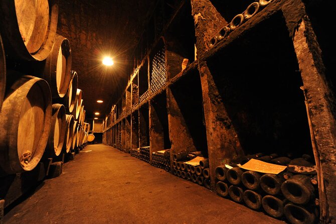 Half Day Tour of the Cote de Nuits Vineyards from Dijon - Walking among the Côte de Nuits vines