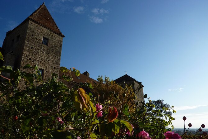Half Day Tour of the Cote de Nuits Vineyards from Dijon - Is the $80 price good value?