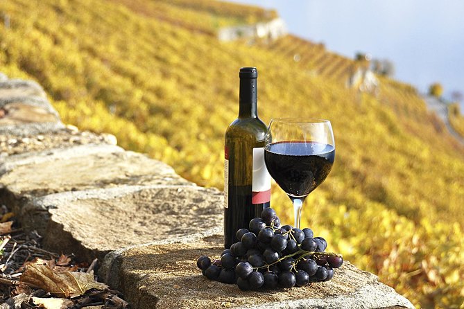HALF-DAY Tour to Chianti Wine Region: CHIANTI COLORS & FLAVORS - Key points at a glance