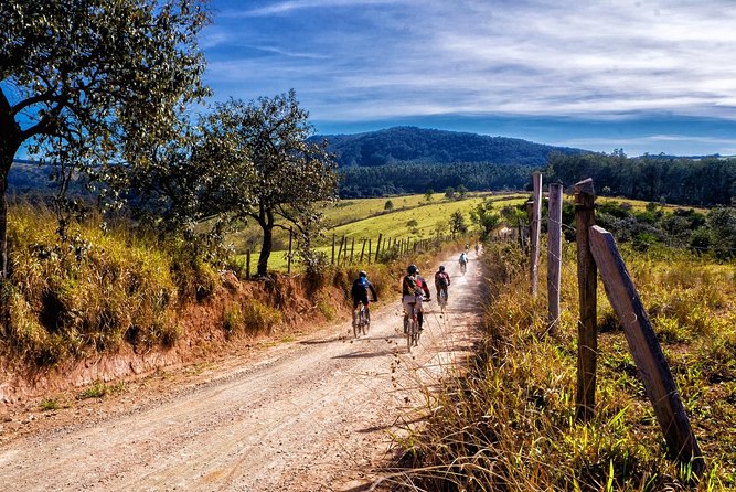 HALF-DAY Tour to Chianti Wine Region: CHIANTI COLORS & FLAVORS - Fifteen minutes among vineyards and cypress trees