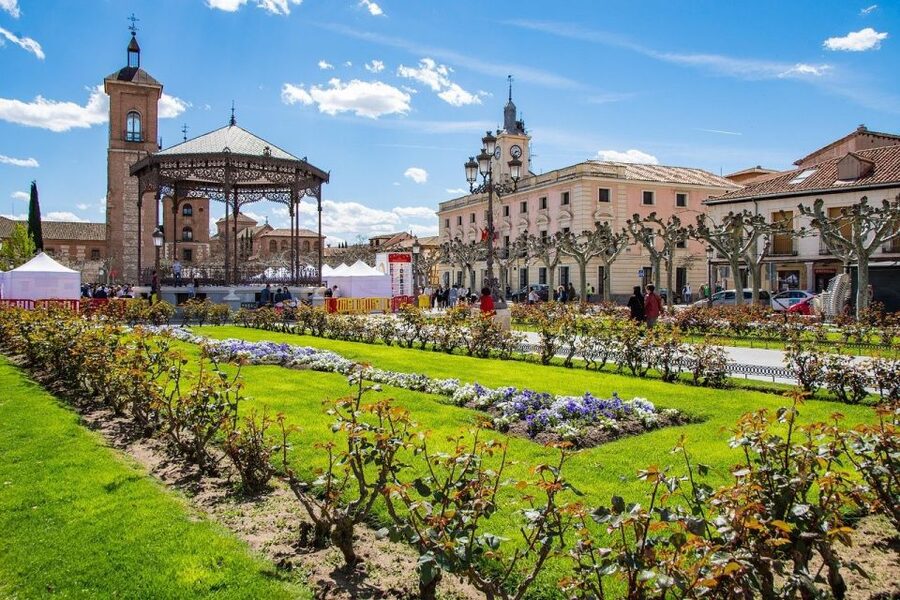 Half-Day Trip from Madrid: Alcalá de Henares & Winery Visit - Five things to know before you book