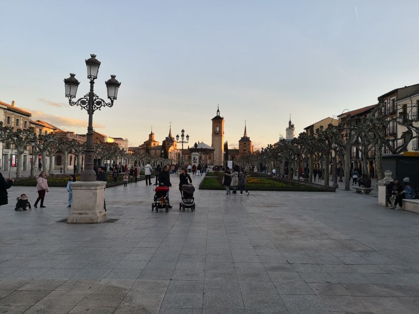 Half-Day Trip from Madrid: Alcalá de Henares & Winery Visit - Should you book Alcalá and the winery?