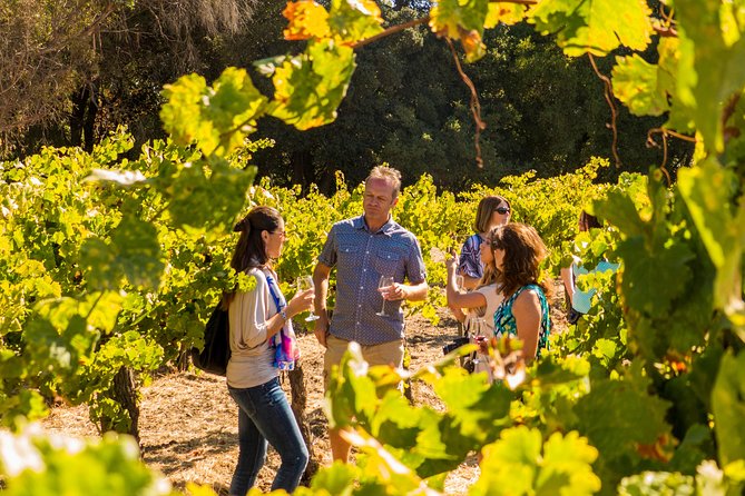 Half-Day Wine Country Tour from San Francisco - The Ride Through Marin County and Carneros