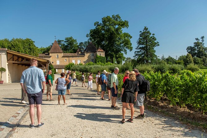 Half-Day Wine tour across Bordeaux’s Vineyards - The Bordeaux vineyard experience in brief