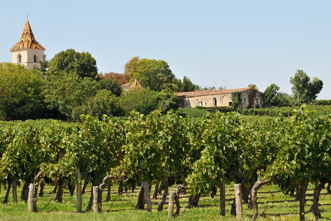 Half-Day Wine tour across Bordeaux’s Vineyards - Group size, language, and pace