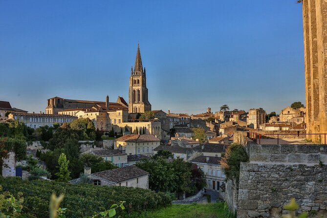 Half-Day Wine tour across Bordeaux’s Vineyards - Who should book this afternoon?