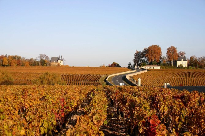 Half-Day Wine tour across Bordeaux’s Vineyards - Practical booking advice