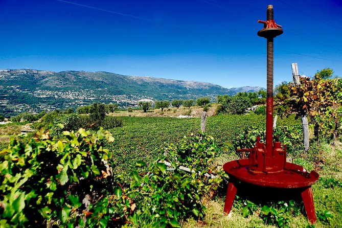 Half-day Wine Tour in Bellet wine region from Nice - The 30-minute ride into the hills
